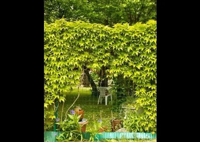 Apartamento Am Ginkgobaum